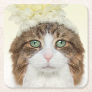 花の帽子を持つ猫 スクエアペーパーコースター