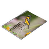 花の庭でボルチモアのオリオールの女性 ノートブック (左側)