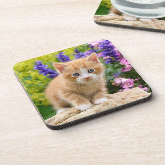 花の庭で可愛いジンジャーキャットキットンの写真 –  コースター (左側)