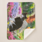 花の庭にかわいい白黒カラフルの猫 シェルパブランケット (正面)