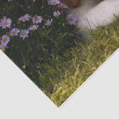 花の後ろの無頓着なチャールズ王スパニエル犬の子犬 薄葉紙 (詳細)