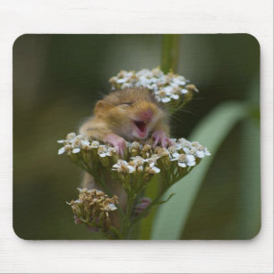 花の微笑のMousie マウスパッド