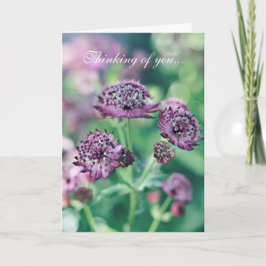 花の想いやりカード カード (正面)