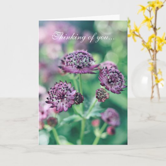 花の想いやりカード カード (黄色い花)