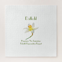 花の意味を持つサンライトの水仙