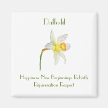 花の意味を持つ水色Daffodil