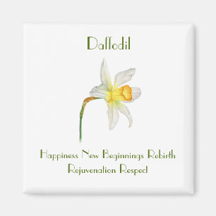 花の意味を持つ水色Daffodil マグネット