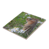 花の愛らしいチムンク タイル (側面)