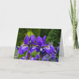 花の挨拶状、中ブランク カード