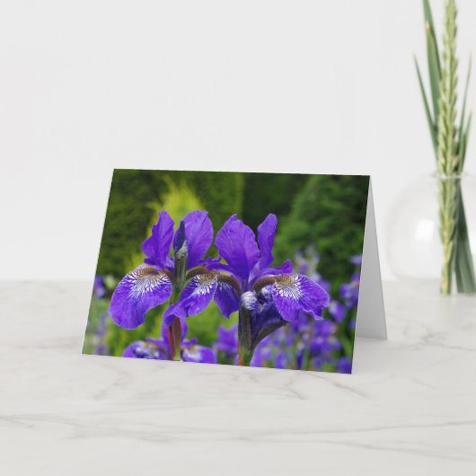 花の挨拶状、中ブランク カード (正面)