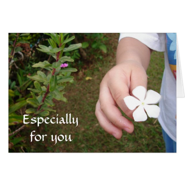 花の提供* (正面横)