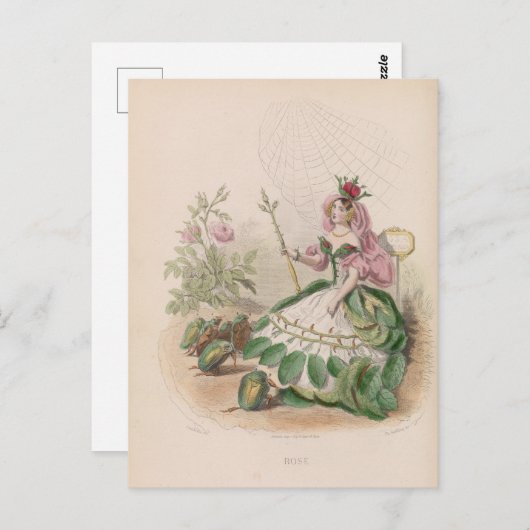 花の擬人化はがき ポストカード (正面/裏面)