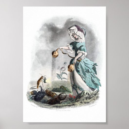 花の擬人化 – ポピー ポスター (正面)