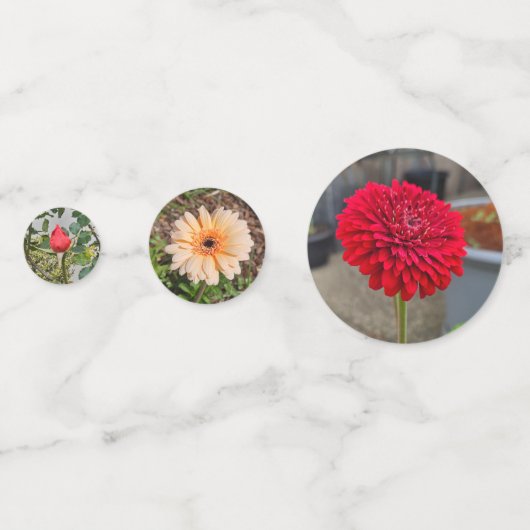 花の散乱 コンフェッティ (裏面)