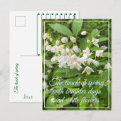 花の春の休日 ポストカード (正面/裏面)