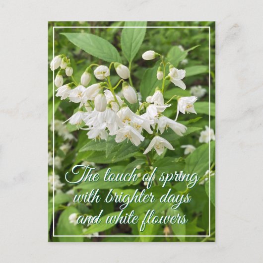 花の春の休日 ポストカード (正面)