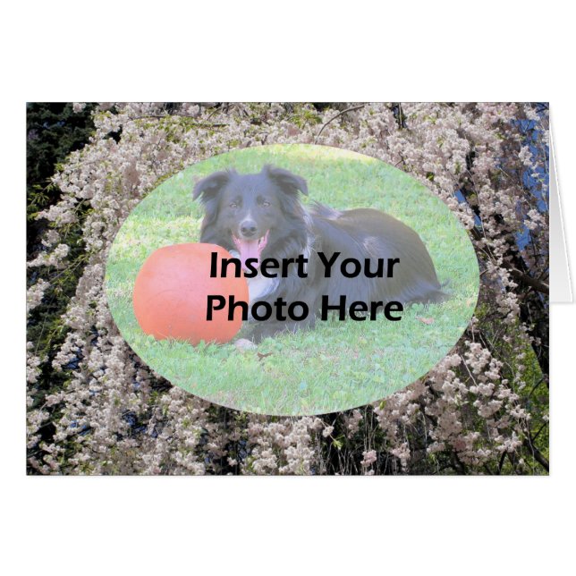 花の春写真カードのカスケード (正面横)