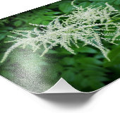 花の木の白い花の緑葉の花 フォトプリント            (角)