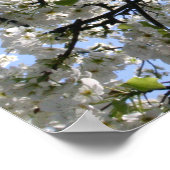 花の木 ポスター (角)