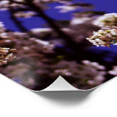 花の木 ポスター (コーナー)