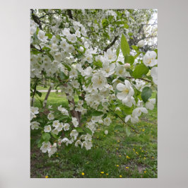 花の束 ポスター