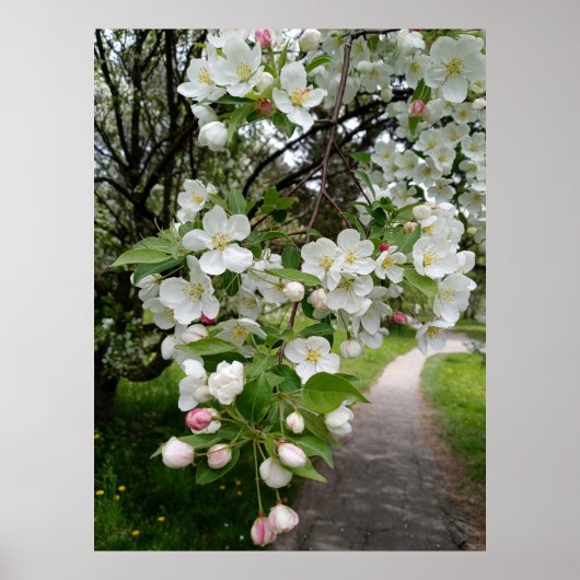 花の枝に ポスター (正面)