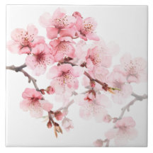 花の桜のピンクと白