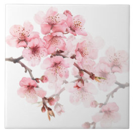 花の桜のピンクと白 タイル
