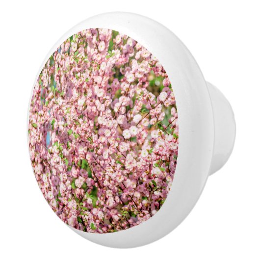 花の梅 セラミックノブ (右)