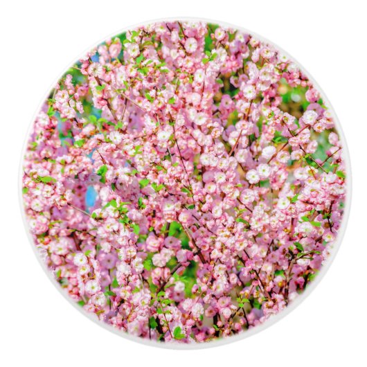 花の梅 セラミックノブ (正面)