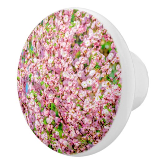 花の梅 セラミックノブ (右)