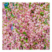 花の梅 ポスター (正面)