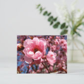 花の梅 ポストカード (スタンド正面)