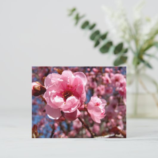 花の梅 ポストカード (スタンド正面)