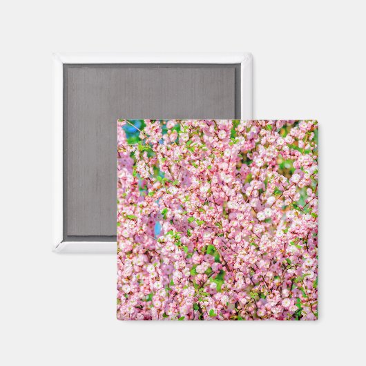 花の梅 マグネット (正面/裏面)