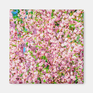 花の梅 マグネット