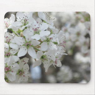 花の梨の木の開花 マウスパッド