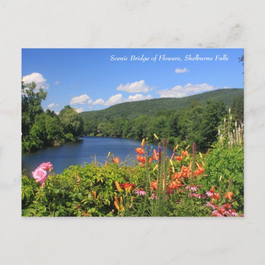 花の橋シェルバーン秋 ポストカード (正面)