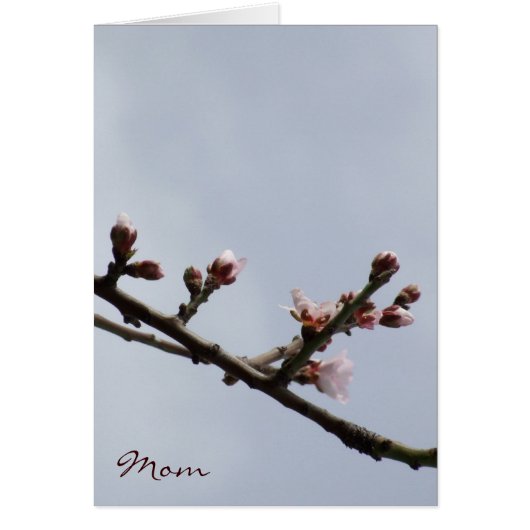 花の母の日のカード (正面)