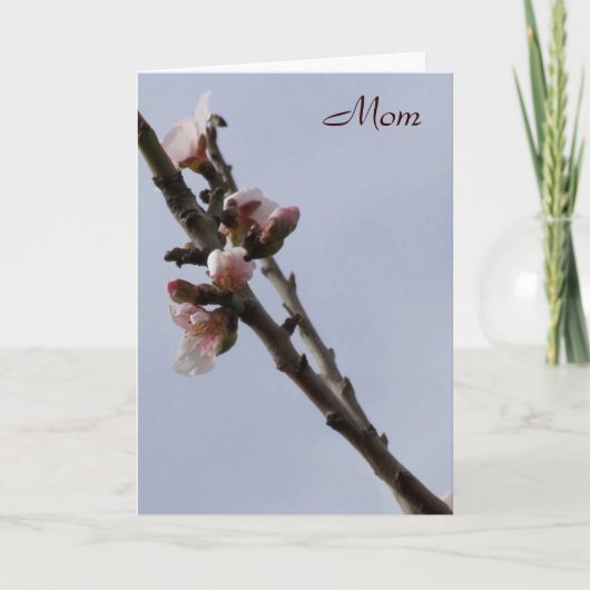 花の母の日のカード カード (正面)