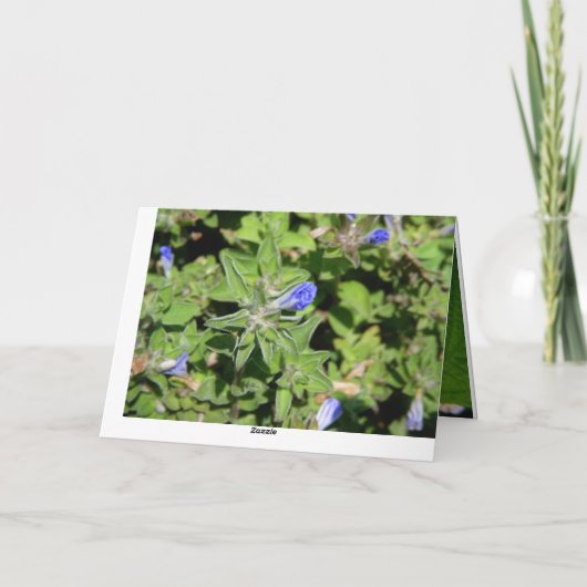 花の母の日カード カード (裏面)