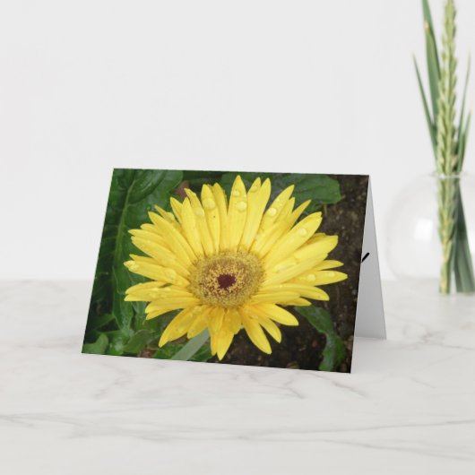 花の母の日カード カード (正面)