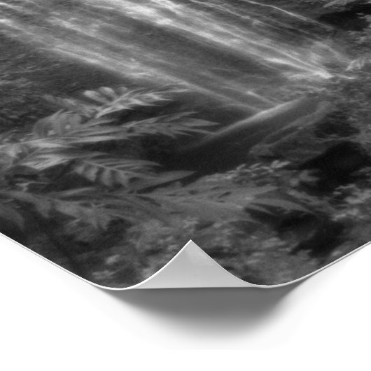 花の滝 ポスター (角)