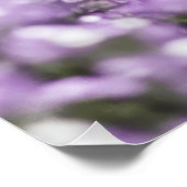 花の猫 ポスター (コーナー)