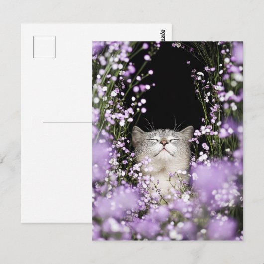 花の猫 ポストカード (正面/裏面)