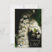 花の生命のお祝い 3 招待状 (正面)