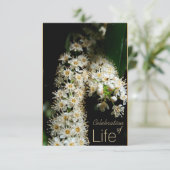 花の生命のお祝い 3 招待状 (スタンド正面)