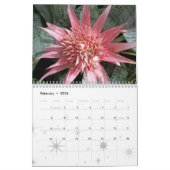 花の画像 カレンダー (2月 2026)