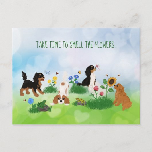 花の畑にスパニエル犬4人 ポストカード (正面)