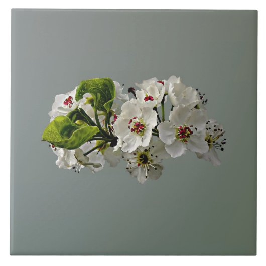 花の白いナシ タイル (正面)